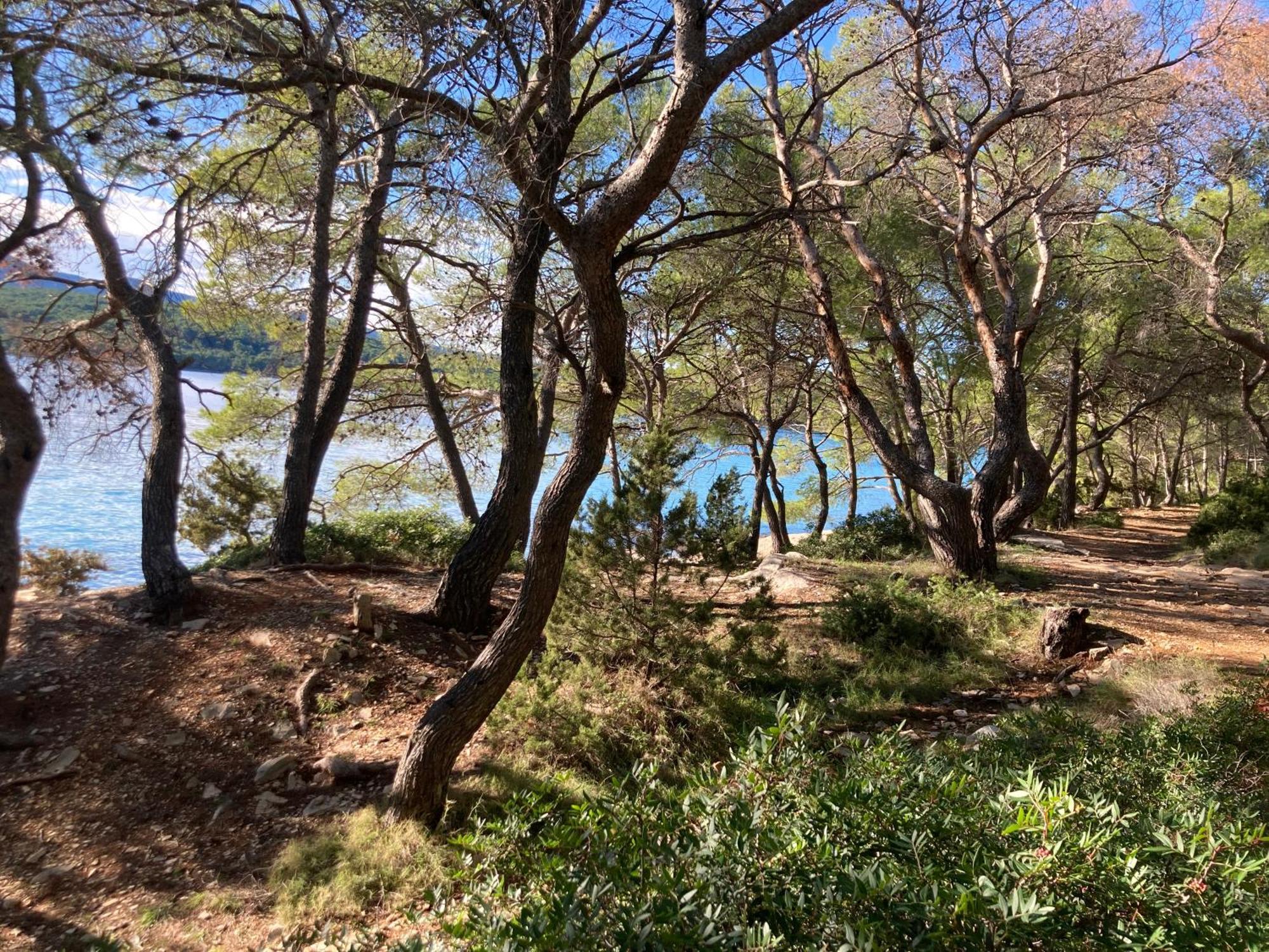 Holiday home Il Melograno Hvar *